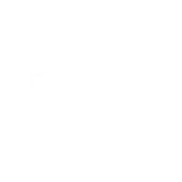 Our chefski experience includes the proceries and grocery shopping.