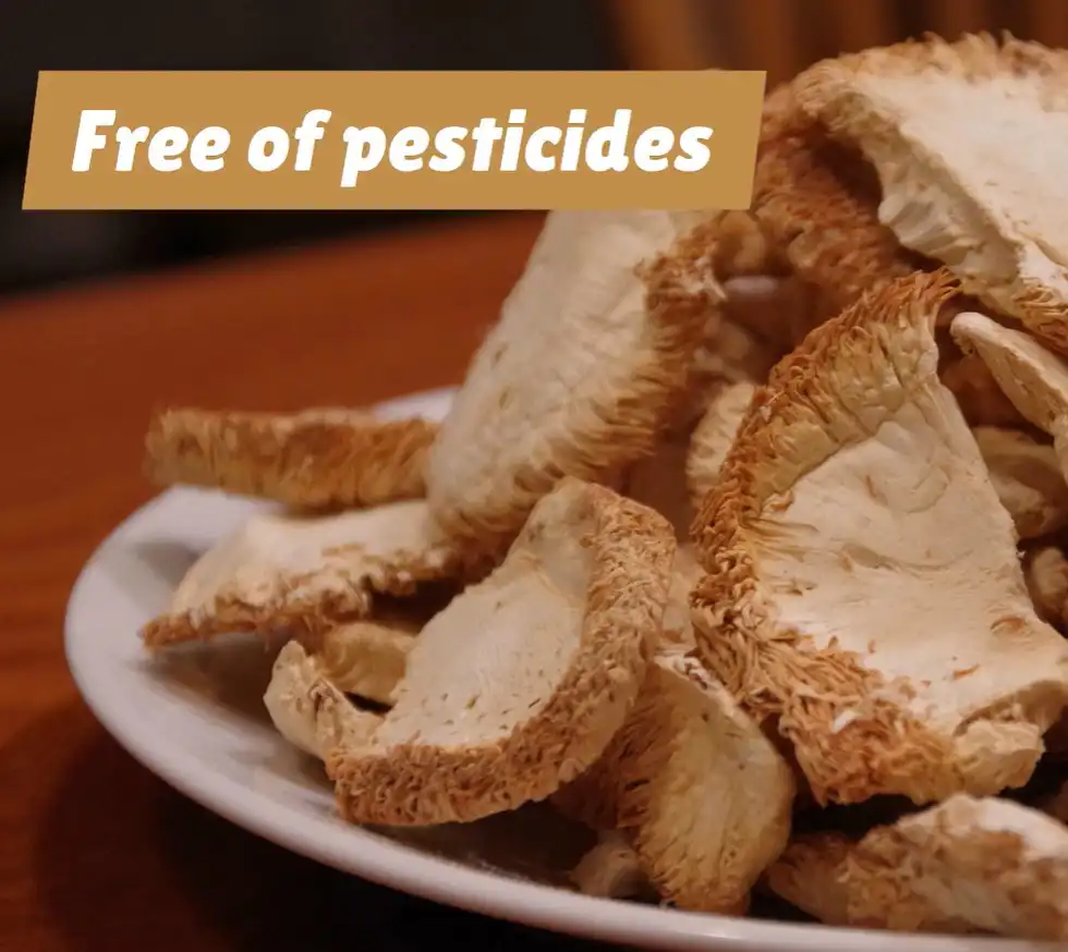 Fresh mushrooms from Downs Farms used by Chefski personal chef and catering in Indianapolis